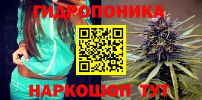 2c-b Заводоуковск